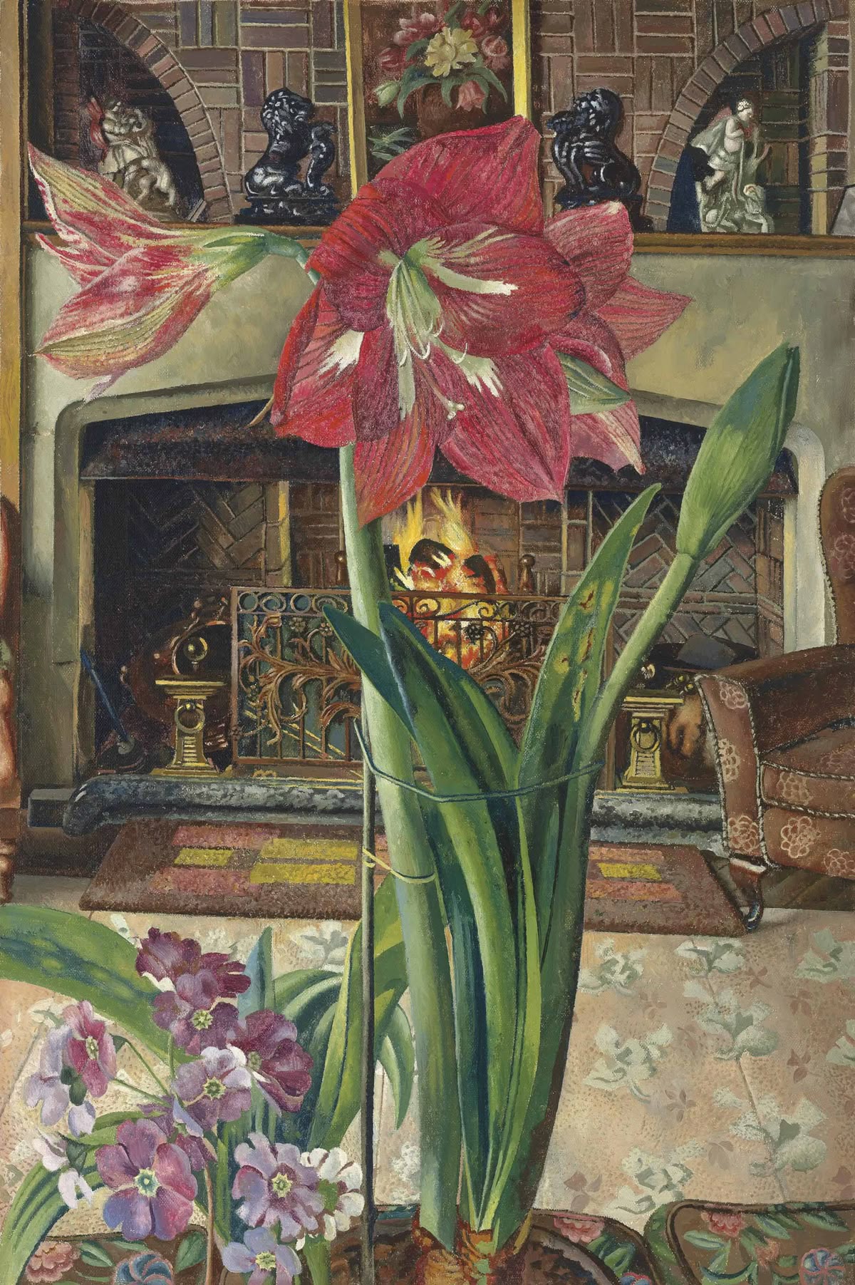 Amaryllis