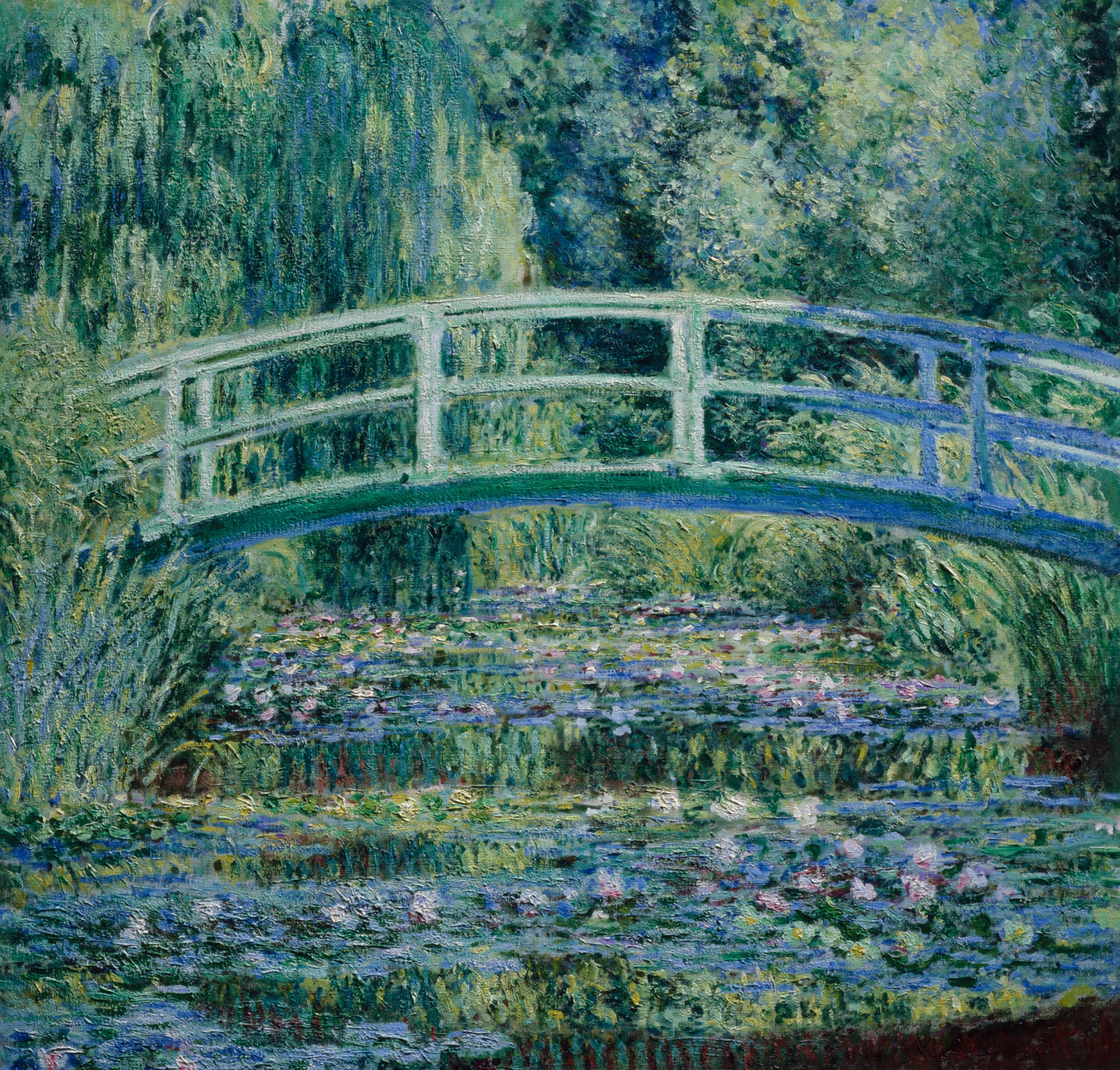 Water Lilies